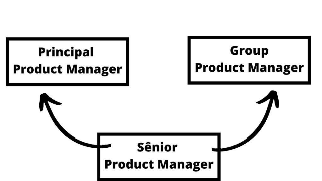 carreira em Y para product manager